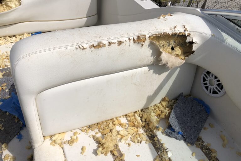 Tips to avoid rat infestation and damage to your boat in Canada